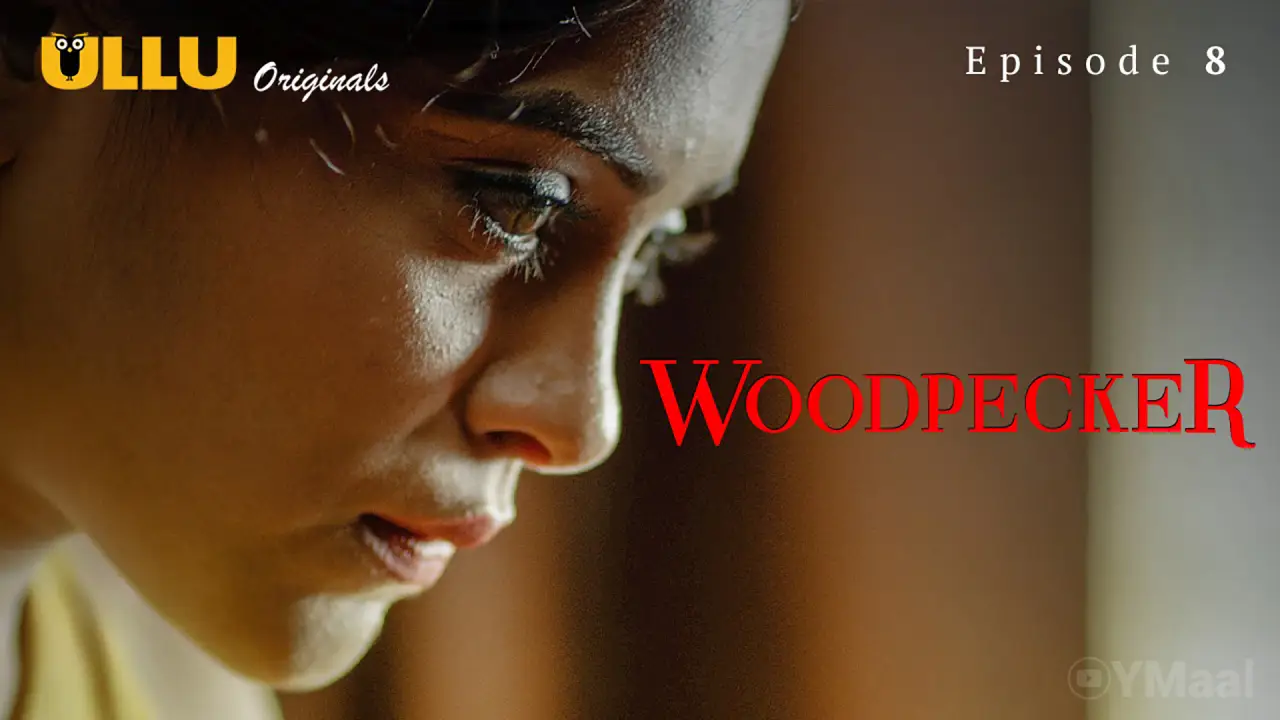 Woodpecker Episode 8 ( 18+ Web Series )